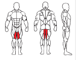 Inner Thigh Adductor TM521