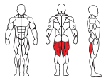 Propone Leg Curl TM515