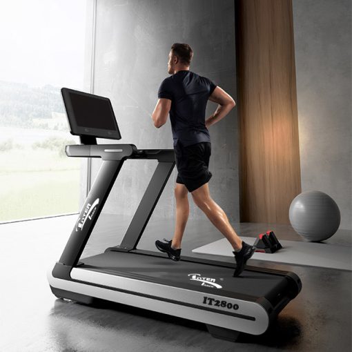 Treadmill IT2800 AC Motor