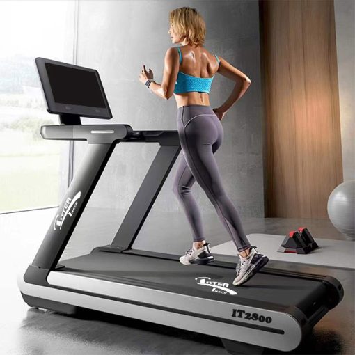 Treadmill IT2800 AC Motor
