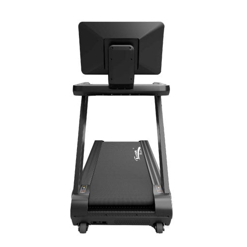 Treadmill IT2800 AC Motor