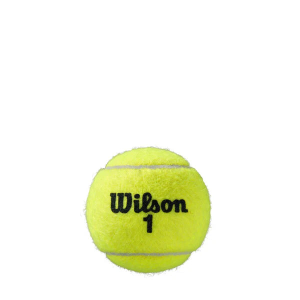 Roland Garros Clay Court Tennis 4- Balls Can