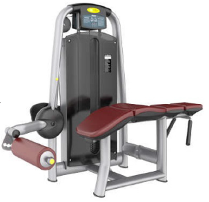 Propone Leg Curl TM515