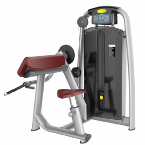 Biceps Curl TM531